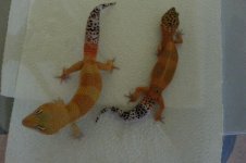 20130626_101652.jpg