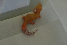 20130626_102003.jpg