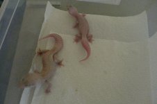 20130626_101807.jpg