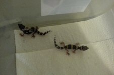 20130626_102210.jpg