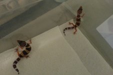 20130626_102106.jpg