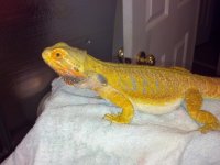 2013-01-30_15-22-09_95.jpg