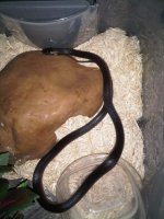 IMG00314-20100603-0623.jpg