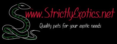Strictly-Exotics-ON-BLACK.jpg