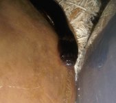 IMG00327-20100603-0630.jpg
