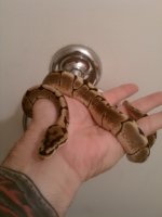 IMG_20100811_204428.jpg