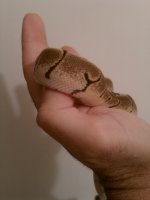 IMG_20100811_204506.jpg