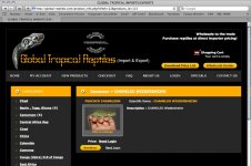 Global Tropical Reptiles lateralis 1.jpg