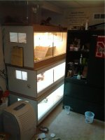 cage setup.jpg