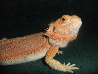 DSCF5249.jpg