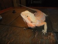 DSCF5261.jpg