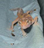 animal 035.jpg
