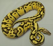 GEDC0377.JPG