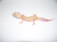 2013 babies 003.jpg