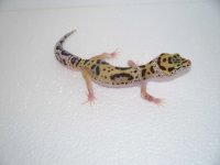 2013 babies 022.jpg