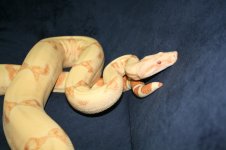 IMG_3478.jpg
