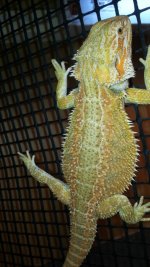 20130518_115816.jpg