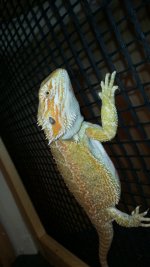 20130518_115802.jpg