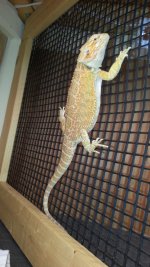 20130518_115756.jpg