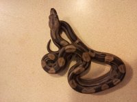 20130619_151052.jpg
