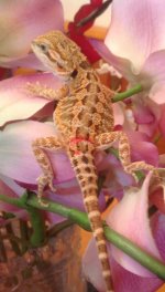 June 8 2013 003.jpg