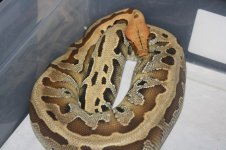 IMG_7419.jpg