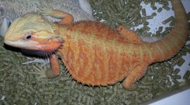 20130321_180300-1.jpg