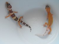 DSCF8811.JPG