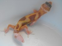 DSCF8815.JPG