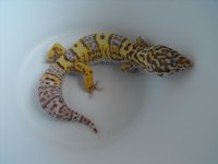DSCF8848.JPG