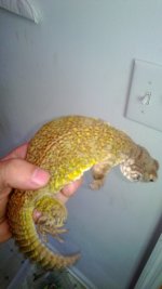 WP_20130430_004.jpg