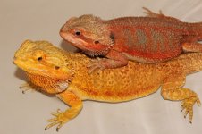 IMG_6839.jpg