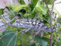 20130722_181754.jpg