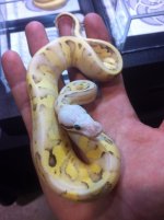photo(21).jpg