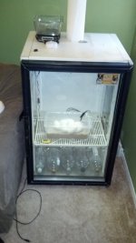 IMG_20130611_184337_257.jpg