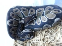 20130619_193835.jpg