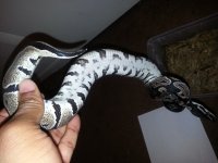 20130619_193936.jpg