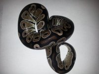 20130619_194157.jpg