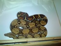 IMG_20130731_024007.jpg