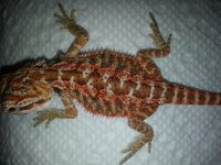 20130708_103602.jpg