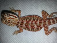 20130710_160705.jpg