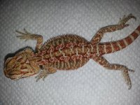 20130710_162609.jpg