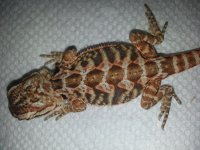 20130710_162650.jpg
