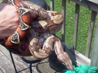 2013-06-11 15.16.06.jpg