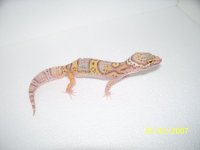 2013 babies 007.jpg