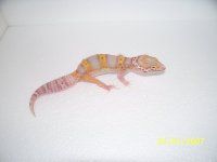 2013 babies 011.jpg