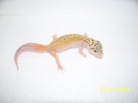 2013 babies 026.jpg