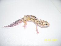 2013 babies 030.jpg