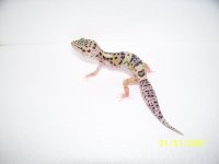 2013 babies 032.jpg