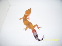 2013 babies 033.jpg